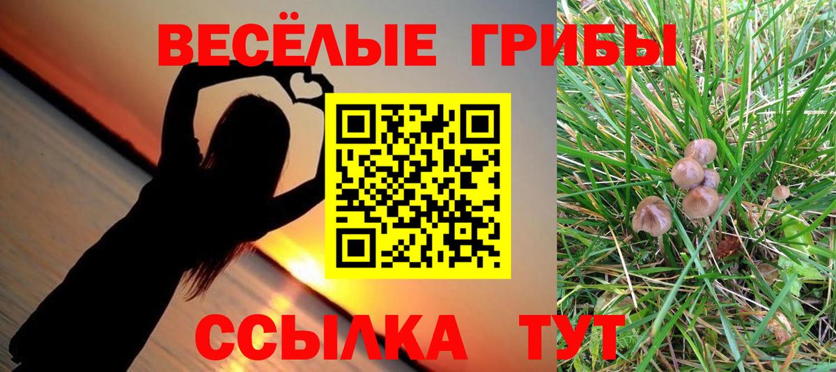 Галлюциногенные грибы Magic Shrooms  Псилоцибиновые грибы Psilocybine cubensis  Карачаевск  Вход с VPN 