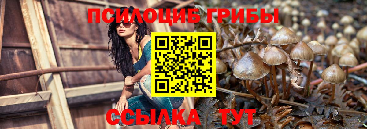 Бошки Шишки  ГАШ  Карачаевск  Меф МЯУ МЯУ   Вход с VPN 